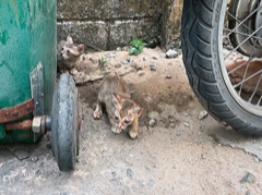 Jižní Vietnam – část druhá: Phu Quoc